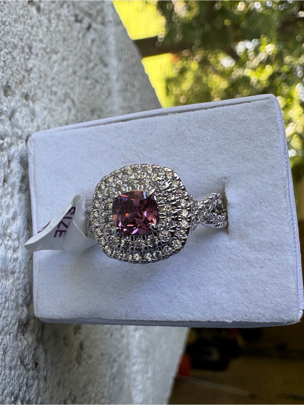 Pink Cushion-Cut Double Halo Ring in Silver Tone